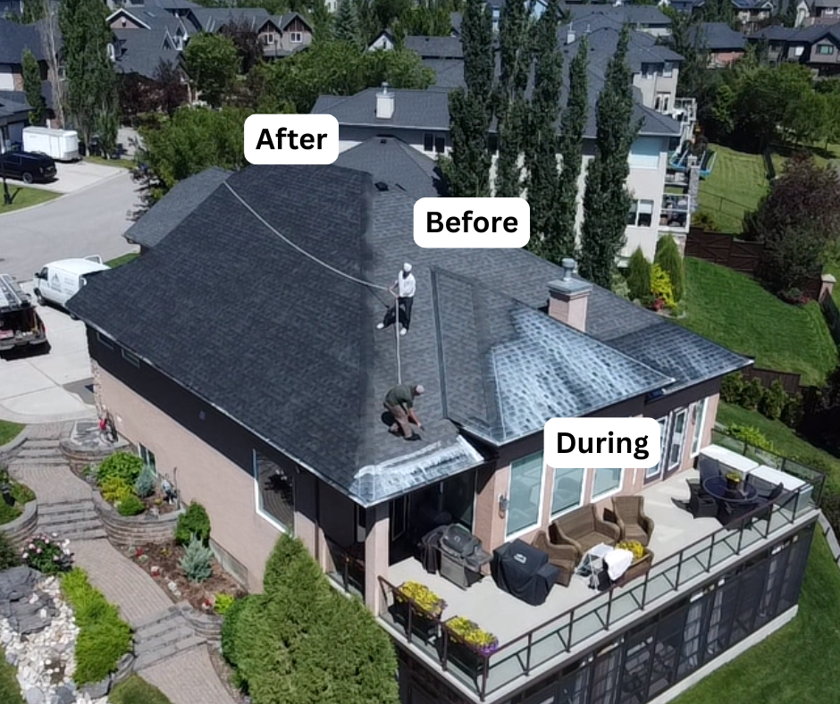 Before · During · After — Pacific Northwest residential roof