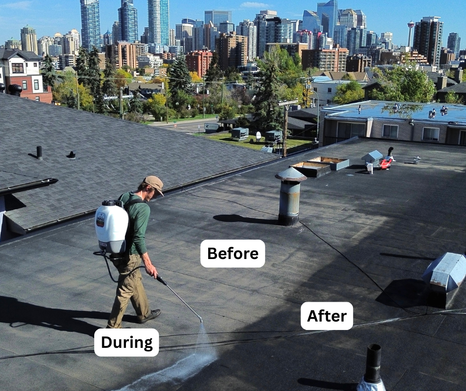 During Application — Low-slope commercial-style roof