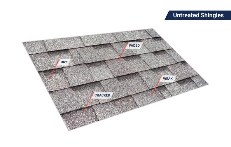 Untreated asphalt shingles showing dry, cracked, faded surface