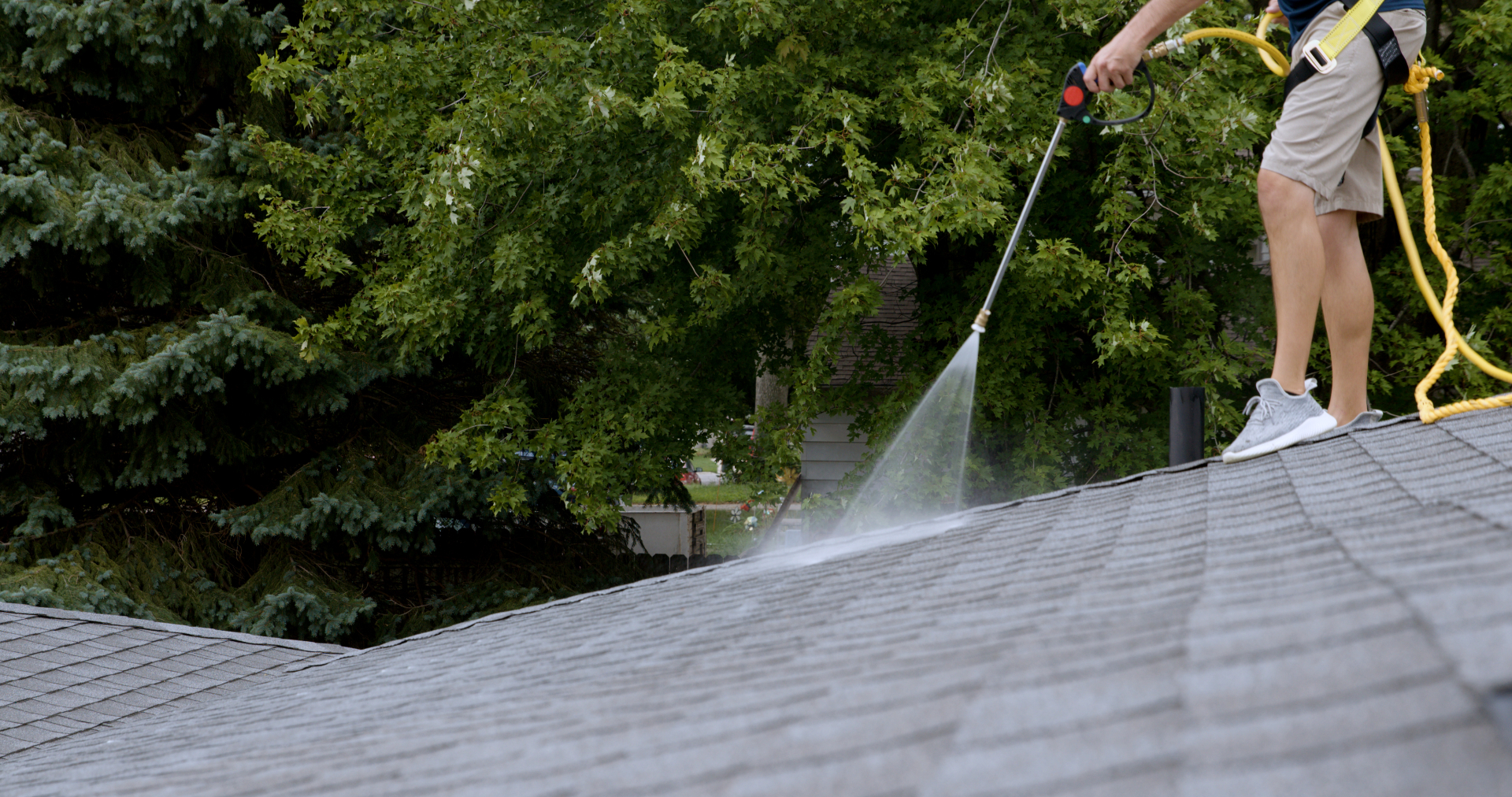 Roof Regen technician applying Fresh Roof GreenSoy™ to asphalt shingles in Seattle